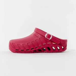 Unisex Scholl klompe Evo - Bordo